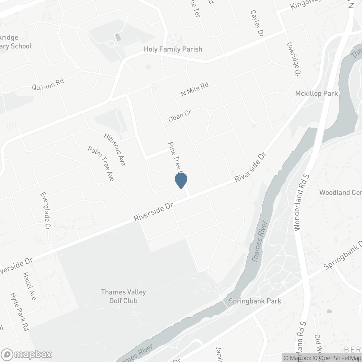 423 PINETREE DRIVE, London, Ontario N6H 3M9